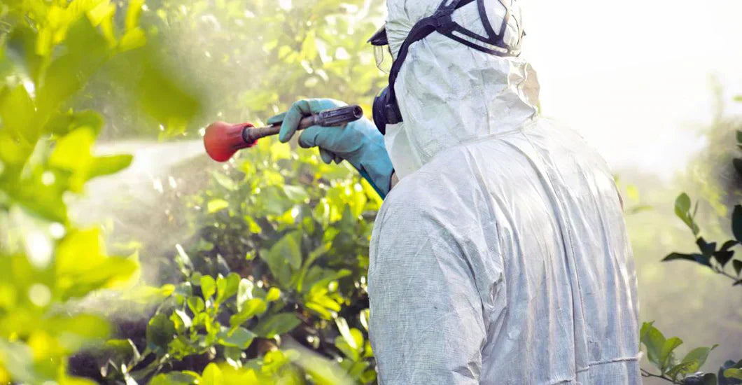 Pesticides in water: How do they end up in mains water?