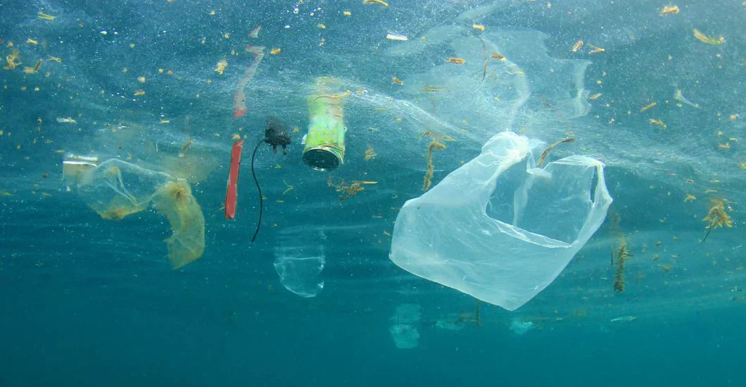What are the main pollutants in water?