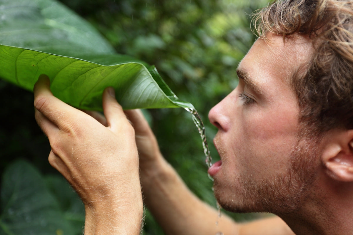 eau potable survie