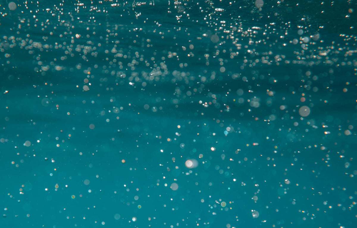 The effects of microplastics on human and animal health