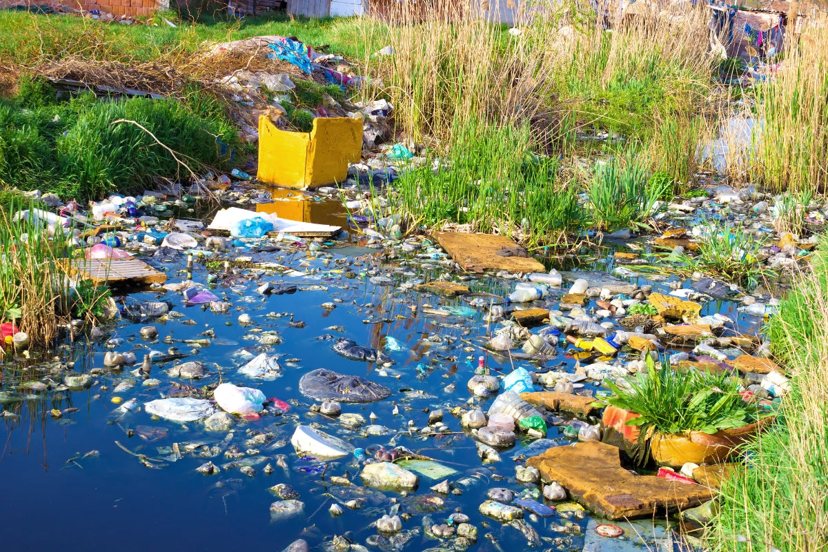 5 conséquences de la pollution de l'eau 