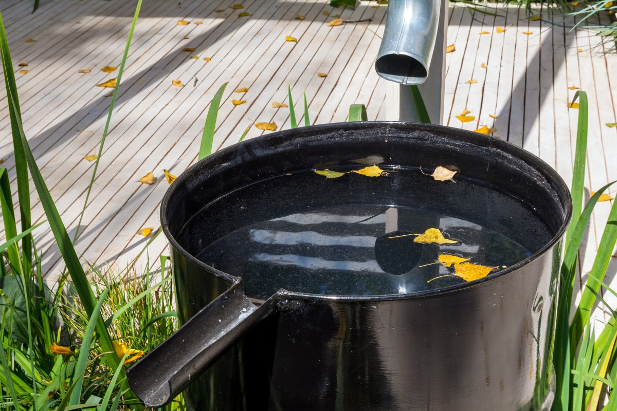 Collect rainwater with a simple, effective, and lasting system